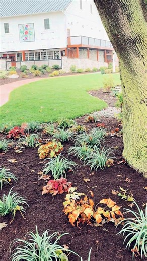 7.1K views · 11 reactions | As Kissel Valley Farm prepared to welcome...