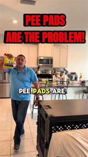 If your puppy keeps having accidents, it’s not because they’re stubborn. It’s because they’re confused. Pee pads teach puppies that peeing inside is allowed — then we get mad when they don’t magically understand the difference. Clear rules = faster potty training. I help puppy owners in the Tampa Bay Area build clean, confident dogs from day one. 👉 Follow Lucez K9 Services if you want to train it right the first time. #PuppyTraining #PottyTrainingPuppy #TampaDogTrainer