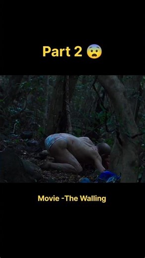 the walling Korean movie explanation in hindi