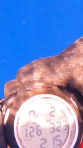 139K views · 2.1K reactions | Deep Spearfishing in Hawaii 126 Feet on One Breath! | Ryan Myers Spearfishing | Facebook