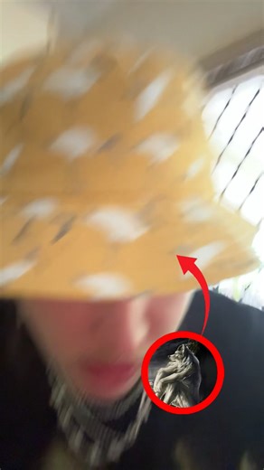 Sigma Alpha Wolf: Embrace the Pack Mentality