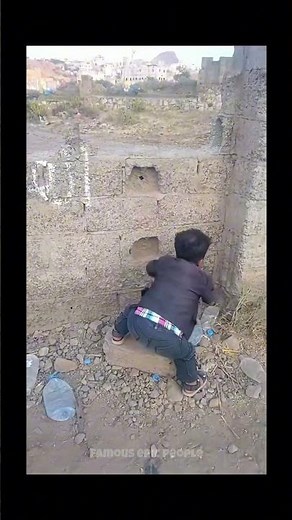 Wholesome Fails: A Normal Moment That Turned Into Instant Comedy 😂⚡