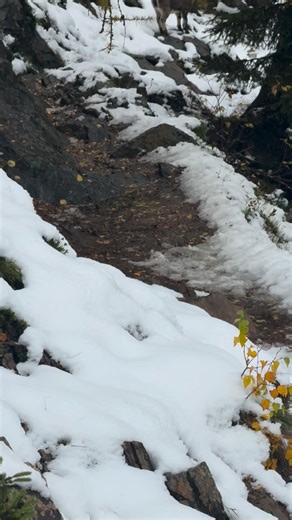 🌦️ Automne à Chamonix : tu pars en pull, tu rentres en doudoune ! | Discover the world