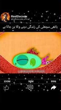 The elephant becomes the life-giver of the fish : #cartoonstory #animalcharacter