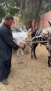 1.1M views · 10K reactions | Now this is a lovely change to see. When...