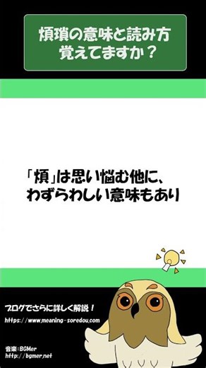 「煩瑣」の意味と読み方をイメージを入れて解説！それってどういう意味？ #Shorts