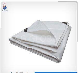 [Hot Item] China PE Tarpaulin Sheet 3X4 Tarp