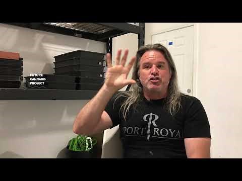 Cannabis Breeding & Genetics