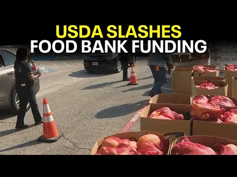 USDA cuts program allowing North Texas Food Bank to buy from local farmers