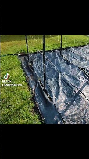 Gardening 101: Our lazy grow garden setup from HOSS | Fall Gardening in zone 8a/b