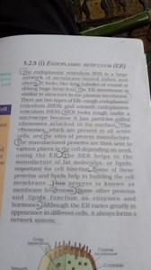 Explain the structure and functions of the endoplasmic reticulu... | Filo