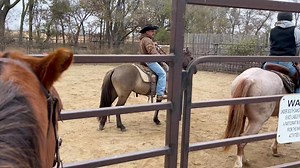 17K views · 312 reactions | We are working on a whole new training...