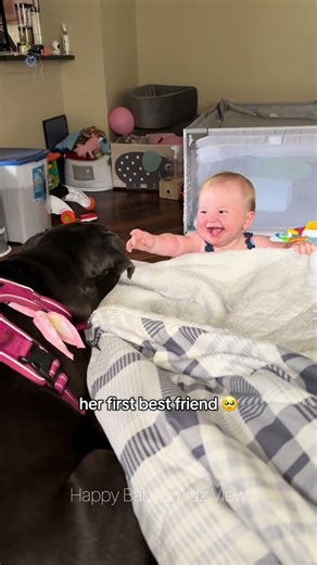 Baby’s First Best Friend 🐶 Heartwarming Dog & Baby Bond💞 #happybabieskidzview