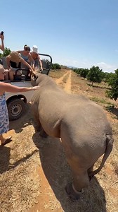"This video shows one of the beautiful parts of Zimbabwe. The amazing wildlife you see here is part of our natural heritage. We truly love and protect our animals — because if we don’t protect them, no one else will. For security reasons, I won’t mention the exact location, but this video was filmed in Zimbabwe." | Discover Zimbabwe