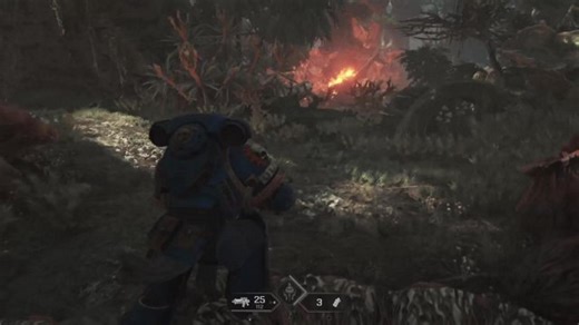 Warhammer Space Marine 2 | PS5