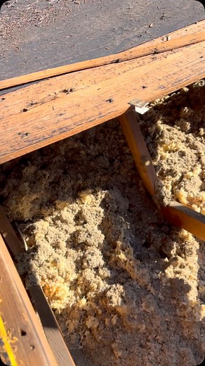 It’s always important to start with a solid foundation when installing a roof | Level Up Improvement