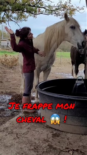 1.2K views · 26 reactions | “Je frappe mon cheval.” Une phrase qui...