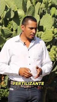 Some of the best compost in Mexico is made here 🌿