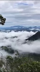Estado de Honduras🇭🇳 Desde la cima del Parque Nacional Cerro Azul Meambar (PANACAM), Monte Sinahí, un mar de nubes y los picos de las montañas hacen un contraste, que nos recuerda lo bendecido que somos de contar con un territorio lleno de belleza. | República Federal de Centroamérica