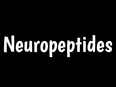 Neuropeptides | Functions Of Neuropeptides In Brain |