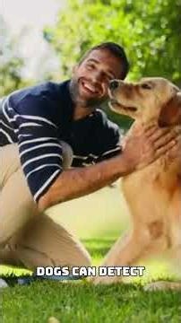 Why Your Dog Always Gets Between You and Others 😂