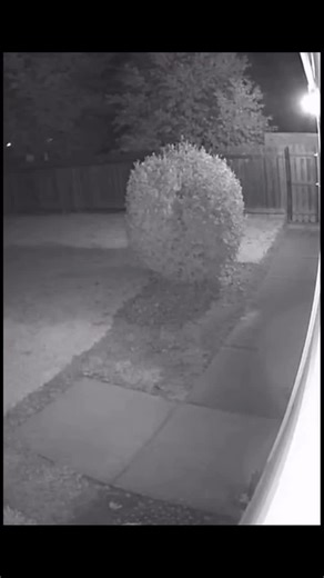 real ghost video recording #ghoststories #ghost #ghostmode #ghostphotoshoot