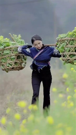 Countryside Realities: Farm Life & Dreams Unfolding