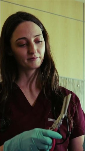 Raptor Rescue Shears