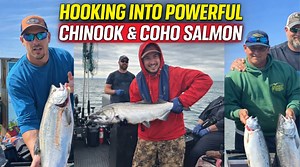 Hooking into powerful chinook and coho salmon