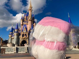 Holiday Cotton Candy at the Magic Kingdom | Chip and Company
