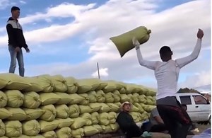 Creativity In Everyday Life | Media 5