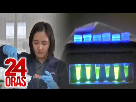 'Lamp Assay' na mas mabilis at murang paraan ng pag-detect ng salmonella, binuo ng UPD-IB | Videos | GMA News Online