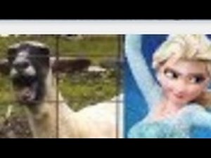 Frozen Parody - Goat Edition