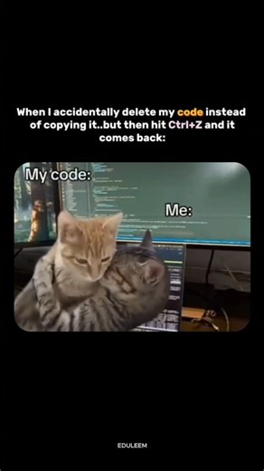 Every Programmer's Favourite Shortcut 😂 Ctrl+Z #shorts