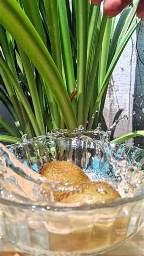 Masala Kivi Recipe #ytshorts #shorts #masala #kivi #asmr