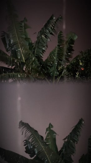 ‏#مطروربٌ_مُجيب_اللهُم_مافي_قلوبنا💦🌧