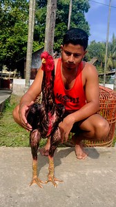 BooM🔥🔥🔥 | Java Aseel