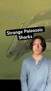 The Alien Sharks of the Paleozoic