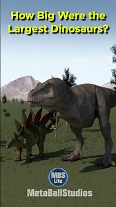 How Big were the Largest Dinosaurs? 🦕