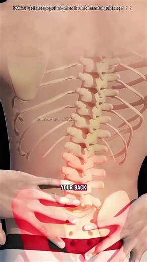 This Is What Happens When a Disc Slips in Your Spine 😳🦴 | Medical animation #slipdisc #herniateddisc #spinehealth #backpain #sciatica