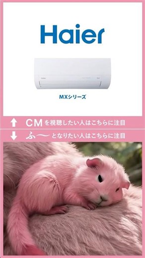ハイアール huu WEBCM「やさしい親子」篇 15秒 縦