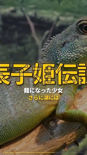99%が知らない日本一深い湖の正体