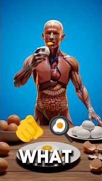 The Hidden Effect of Eggs on Your Brain #egghealth #healtheducation #scienceshorts