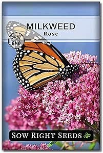 Sow Right Seeds - Rose Milkweed Seeds for Planting - Attract Monarch Butterflies to Your Garden - Non-GMO Heirloom Seeds, Instructions to Grow - Perennial Plant for Pollinators - Swamp Variety (1)