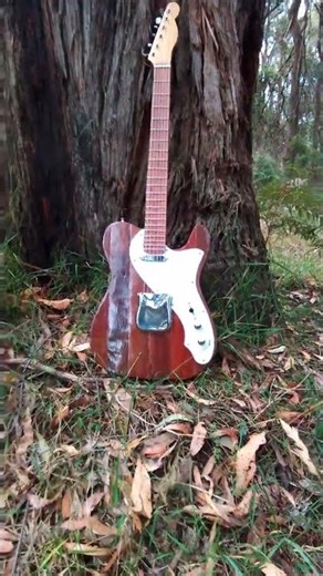 New Telecaster build