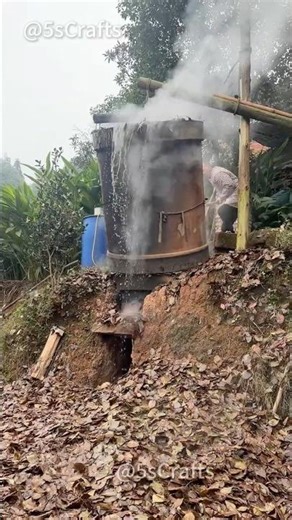 Making Camphor Oil — Traditional Forest Distillation