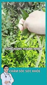 Spiny Amaranth is Great for People with Osteoarthritis #healthylivingat30