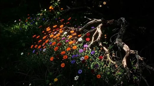 Instagram video by Bibu🌀 • Feb 4, 2026 at 2:42 AM