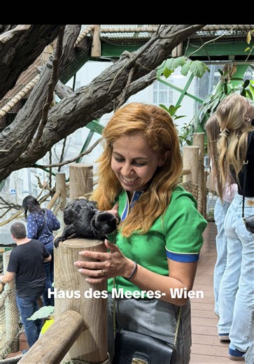 Exploring Haus des Meeres: A Birthday Adventure in Vienna