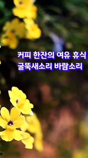 커피 한잔의 여유, 휴식 | 굴뚝새 울음소리, 잔잔한 바람소리 #새소리 #굴뚝새소리 #바람소리